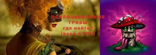 спиды Вязники