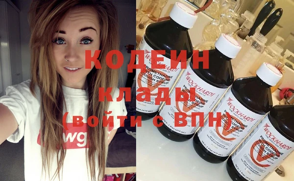 дурь Вяземский