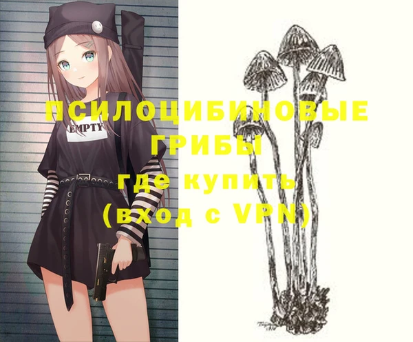 дурь Вяземский