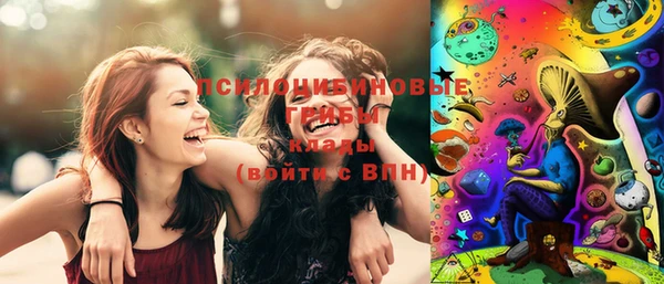 дурь Вяземский
