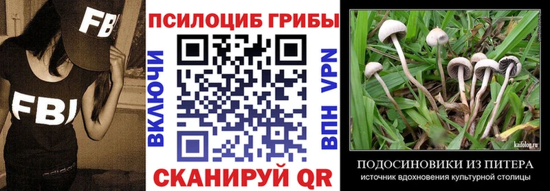 Галлюциногенные грибы мицелий  дарк нет как зайти  Копейск 